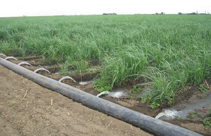 اجرای سیستم آبیاری کم فشار