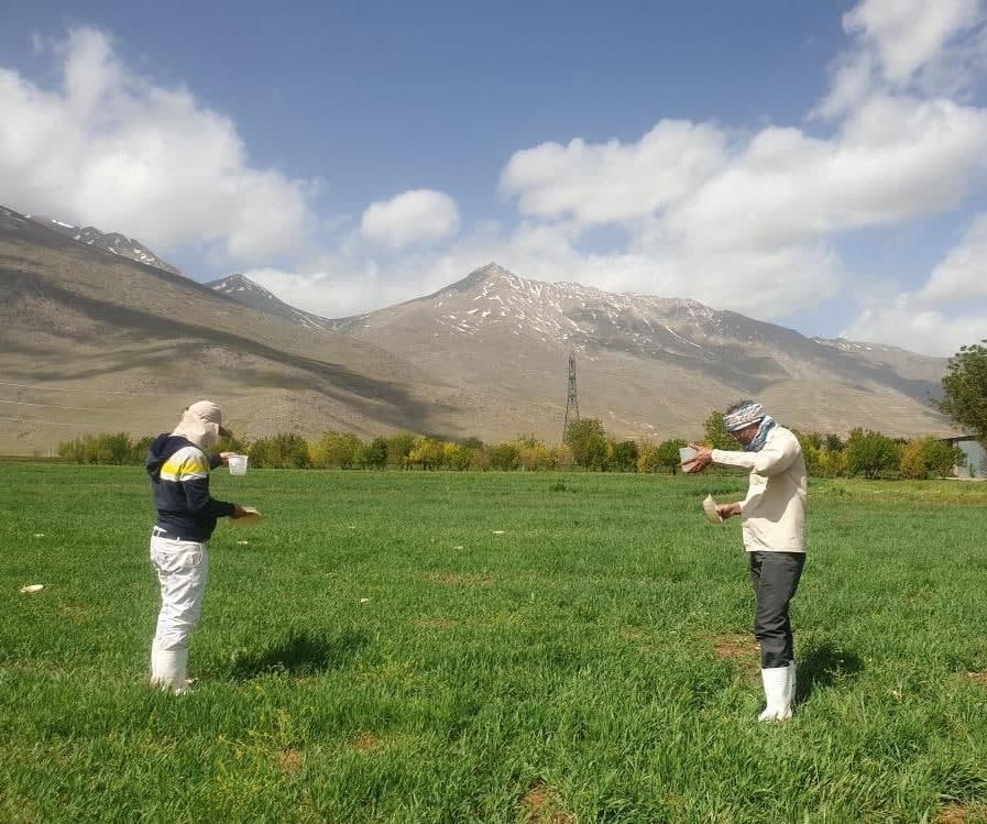 آبیاری بارانی: بهره برداری صحیح