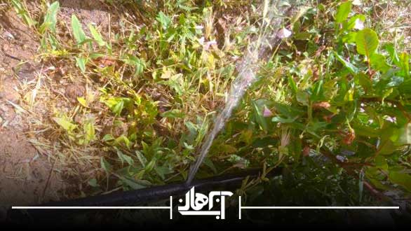 آبیاری قطره ای بدون پمپ