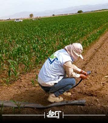 سیستم آبیاری قطره ای