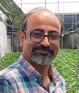 علی معصومی دکتری زراعت