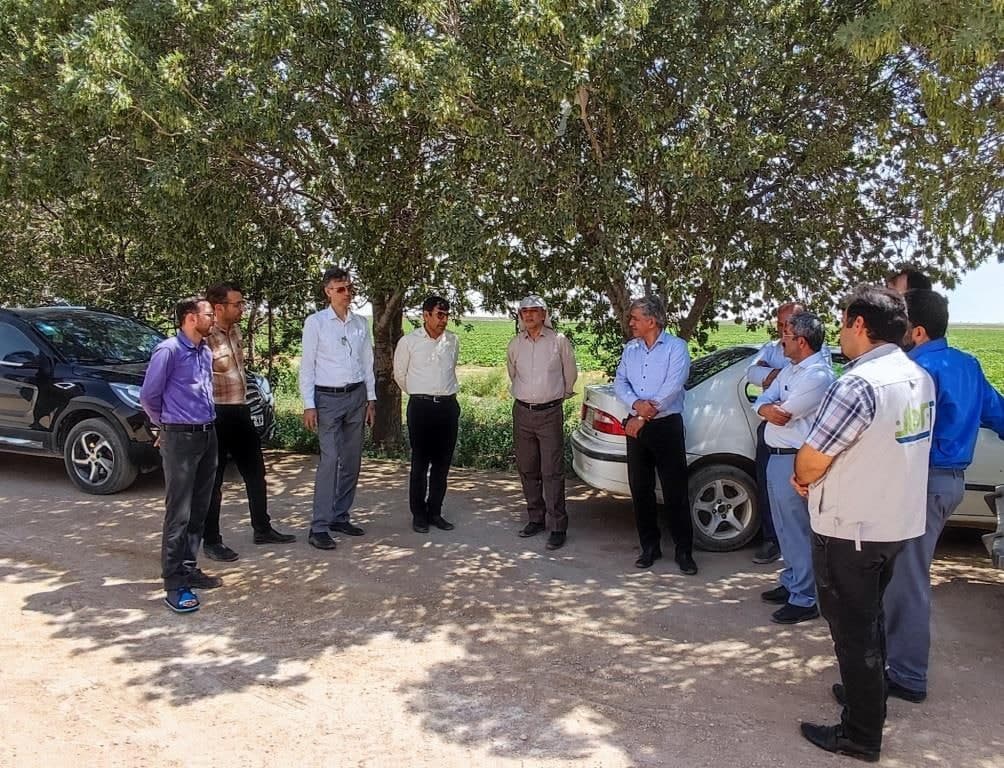 سیستم آبیاری تحت فشار | آب برهان